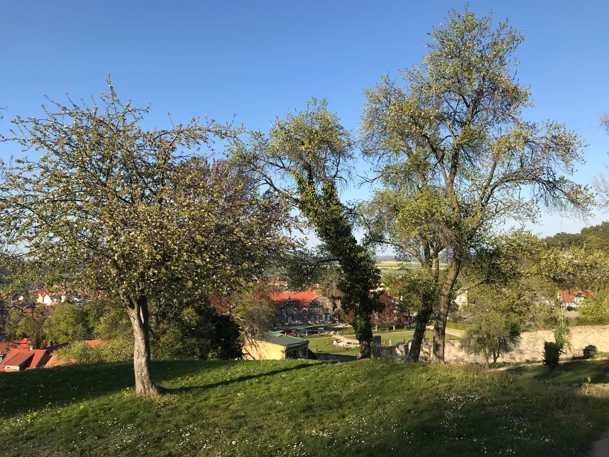 Quedlinburger Urlaubsdomizile Barocke Gärten Blankenburg