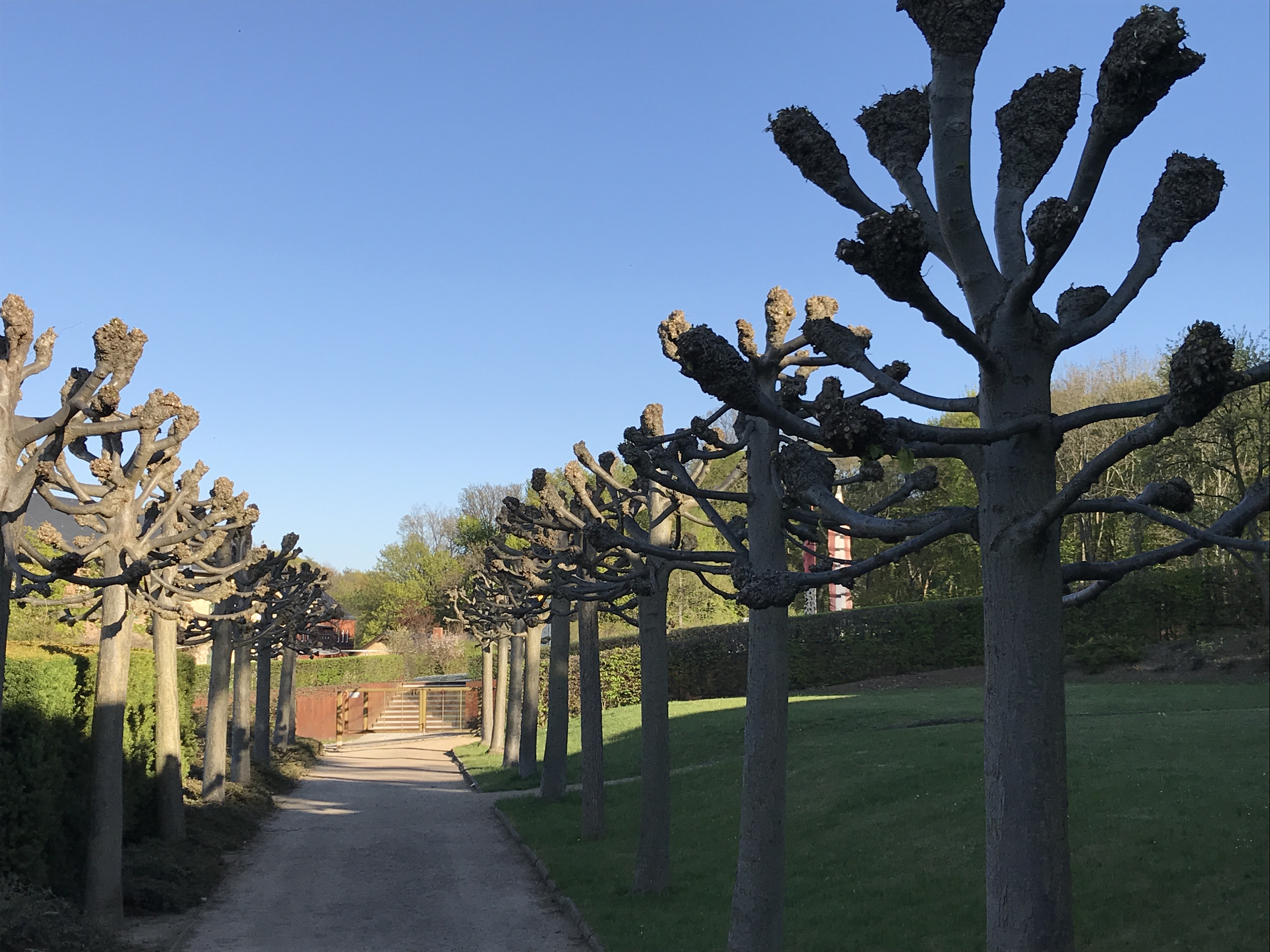 Quedlinburger Urlaubsdomizile Barocke Gärten Blankenburg